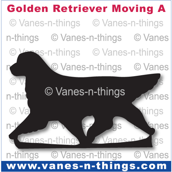 115 Golden Retriever Moving A