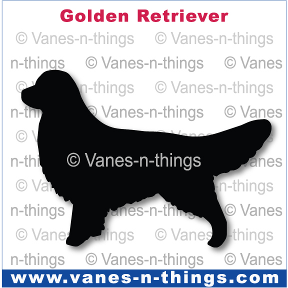 109 Golden Retriever