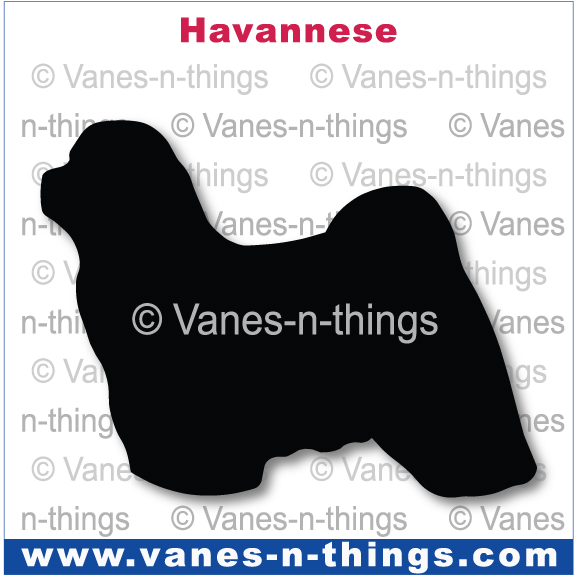 128 Havanese