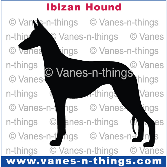 130 Ibizan Decal