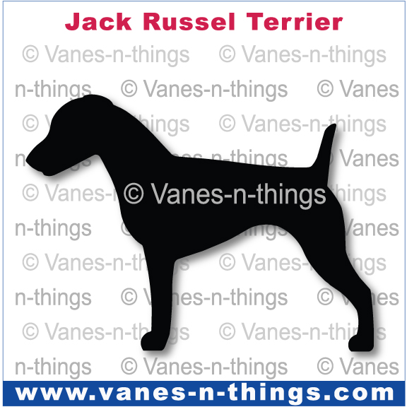 133  Jack Russell Terrier