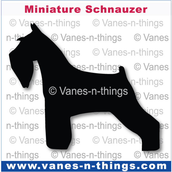 153 Miniature Schnauzer