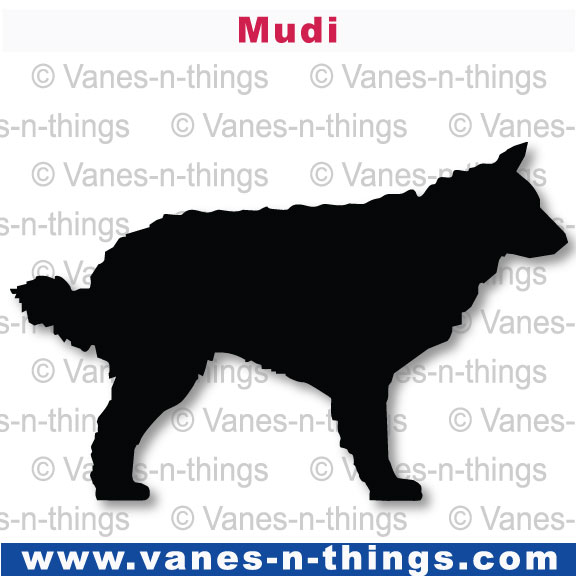 154 Mudi