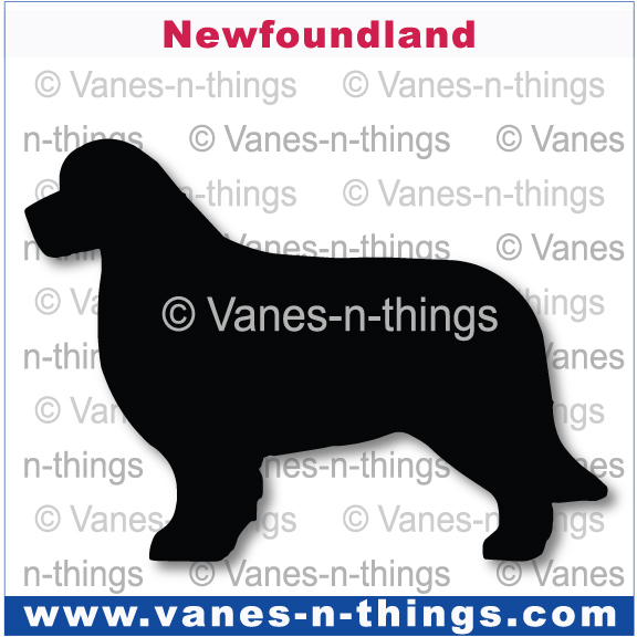 155 Newfoundland