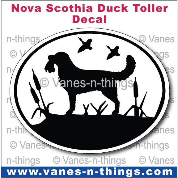 160 Nova Scotia Duck Tolling Retriever