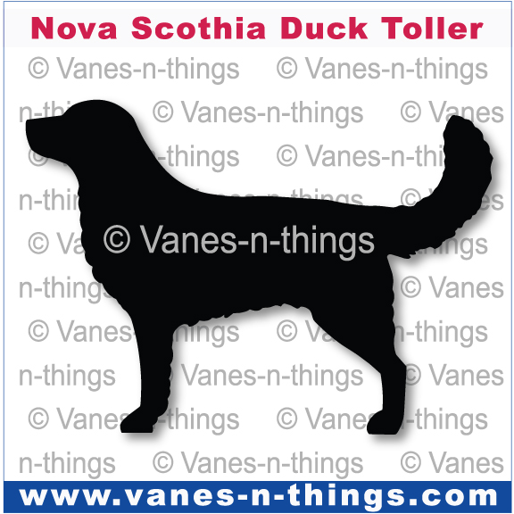 160 Nova Scotia Duck Tolling Decal