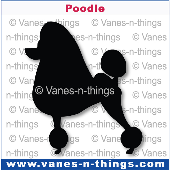 169 Poodle