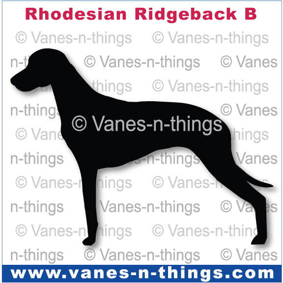179 Rhodesian Ridgeback A