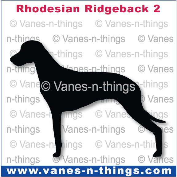 181 Rhodesian Ridgeback B