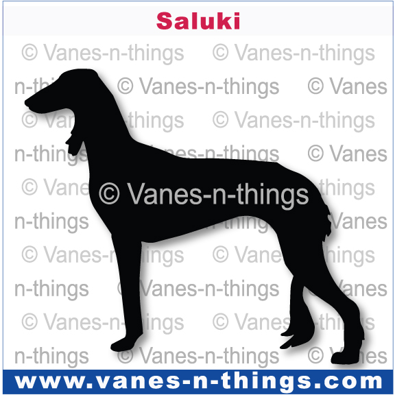 193 Saluki