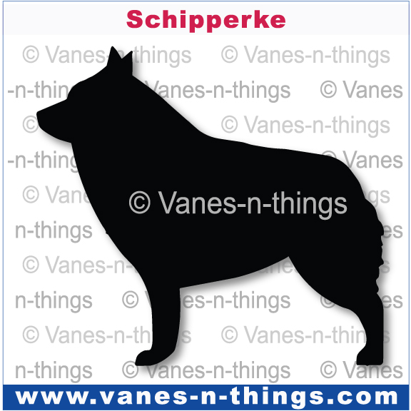 196 Schipperke