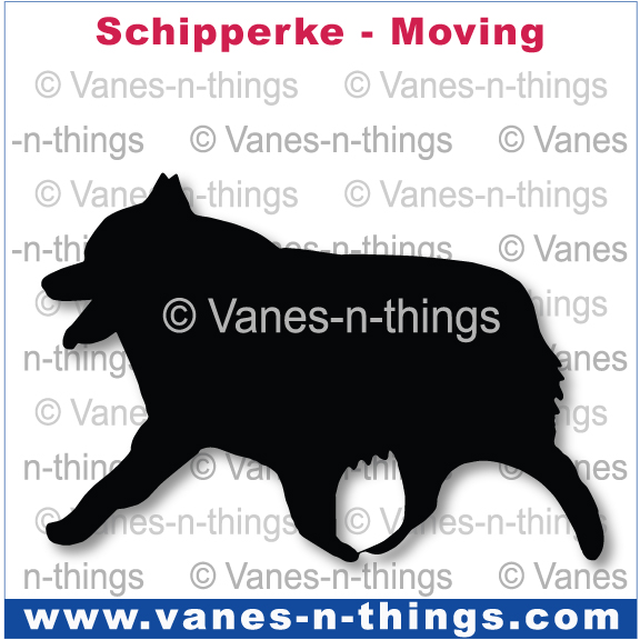 197 Schipperke Moving