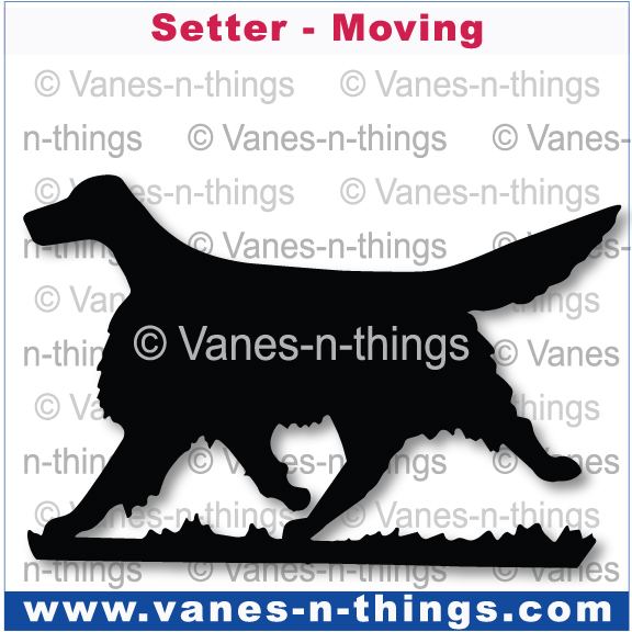 203 Setter Moving
