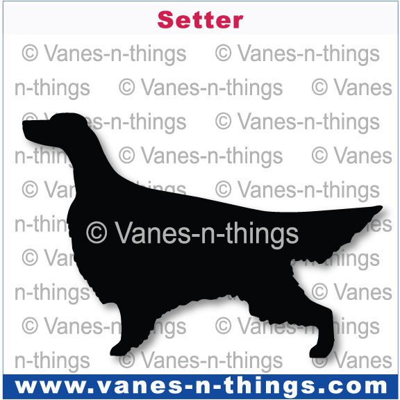 202 Setter