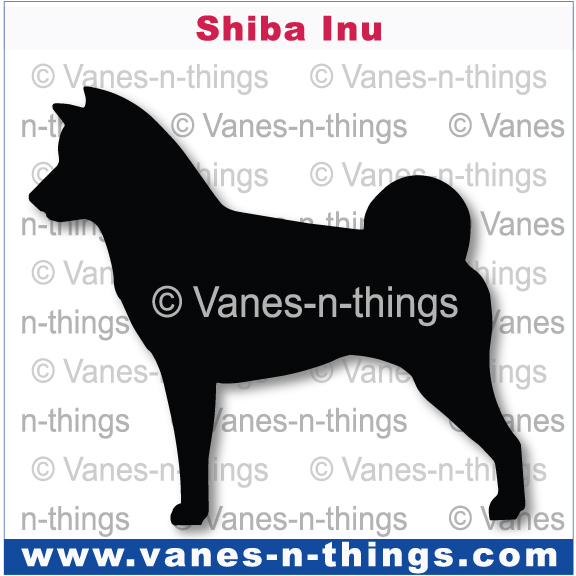 211 Shiba Inu