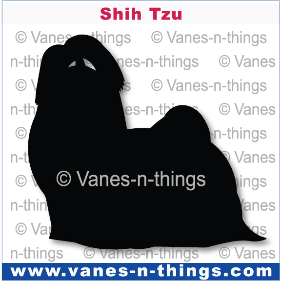 212 Shih Tzu
