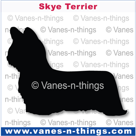 216 Sky Terrier
