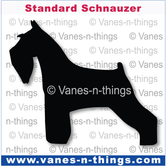 223 Standard Schnauzer
