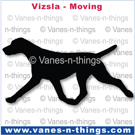 230 Vizsla Moving