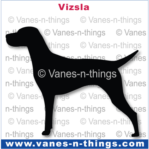 229 Vizsla