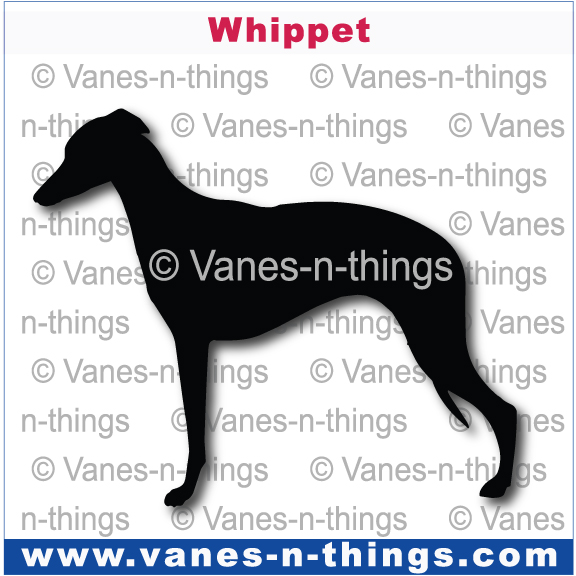 237 Whippet